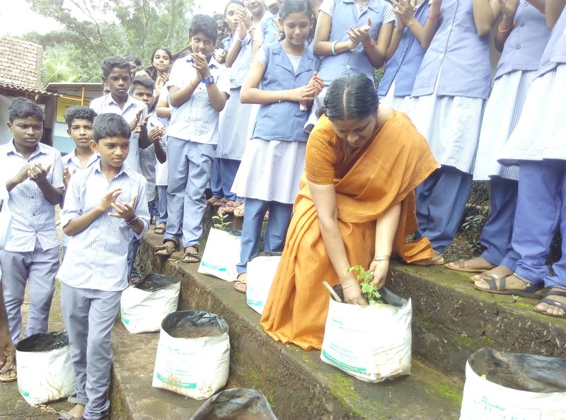 പ്രമാണം:12029 tree.jpg