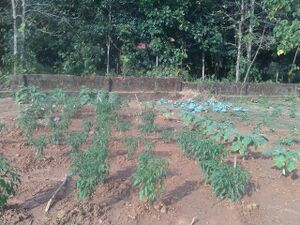 13121 karshikam 6.jpg