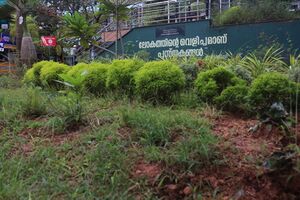 14028 fc8.resized.jpg