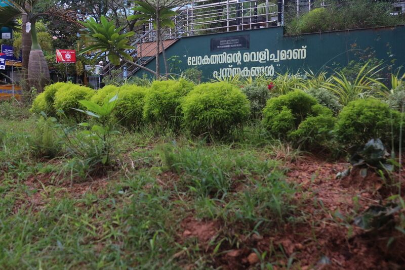 പ്രമാണം:14028 fc8.resized.jpg