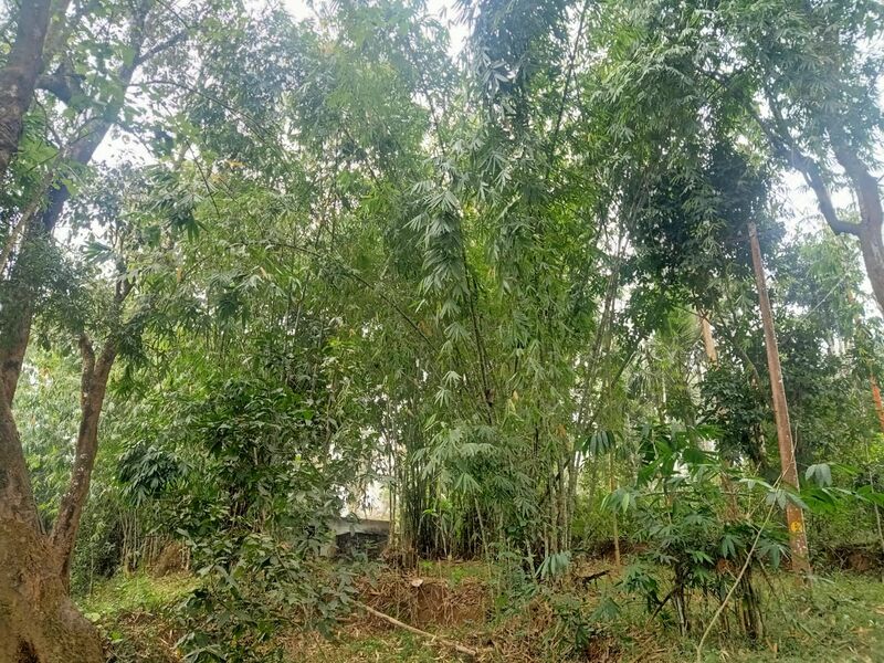 പ്രമാണം:15320 148.jpg