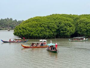 19455-VALLIKUNNU-MANGROVES..jpg