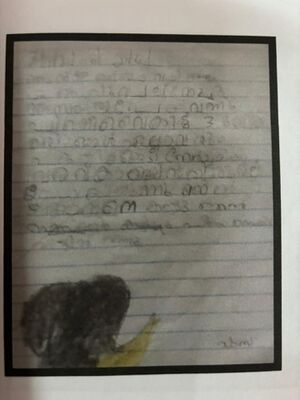 19660-MLP-KUNJ-FATHIMA SHASA.jpeg