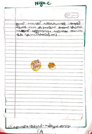 19789-MLP-KUNJ-NIYA C.jpg