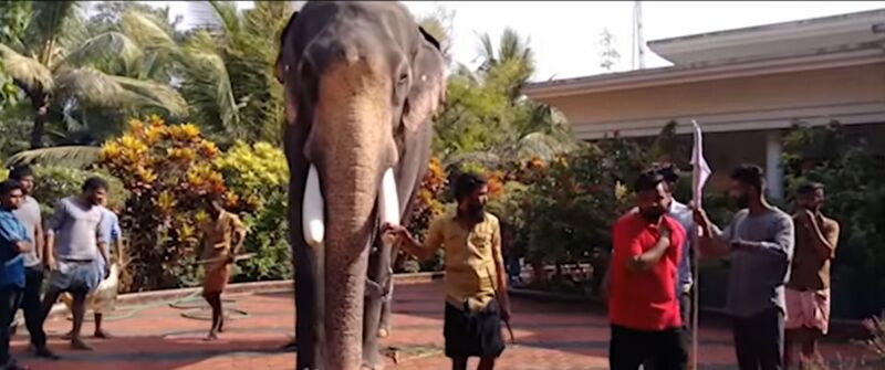 പ്രമാണം:20544 pooram2.jpg