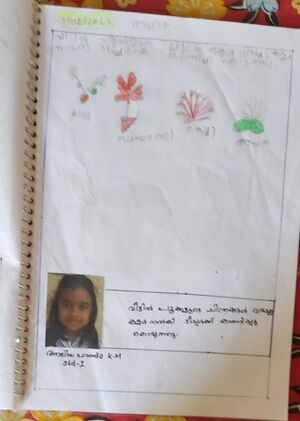 24231-TSR-KUNJ-ALIYA FATHIMA.jpg