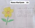 HANA MARIYAM