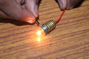 26014 SCIENCE CLUB .JPG