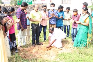 29049herbal garden.JPG