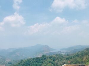 29204-painavu view.jpg