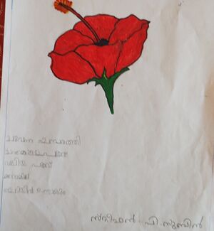 33408-KTM-KUNJ-STEEPHEN P SUBIN.jpg