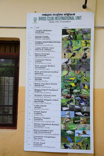 പ്രമാണം:38062 birdsclub 2022 1.jpeg