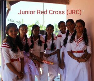 46040 schoolphoto2.jpeg