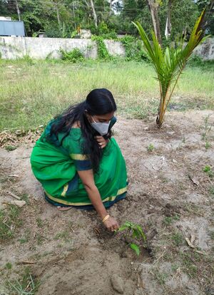 EVMT DAY 2022 TEACH 1.jpeg