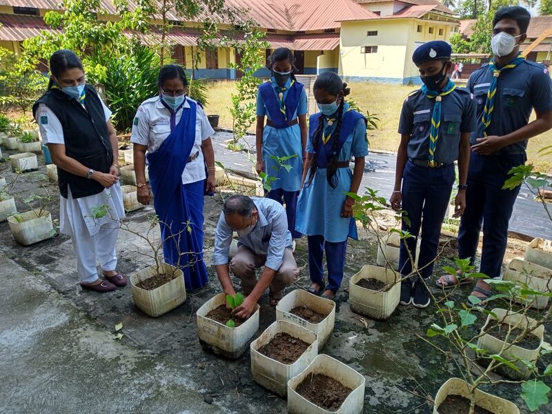 പ്രമാണം:Scout shibin3.jpeg