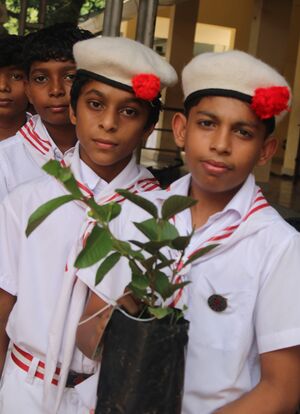 12036 june 5 2025 paristhithi day 11.JPG