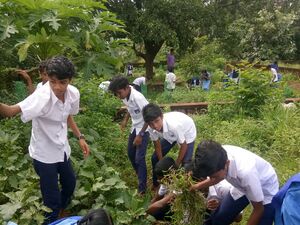 12060 krishi 3.jpg
