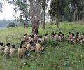 13:59, 14 ഓഗസ്റ്റ് 2018-ലെ പതിപ്പിന്റെ ലഘുചിത്രം