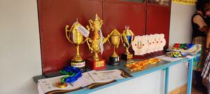 15051 trophies 45.jpg