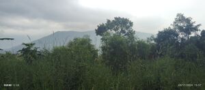 18618 CHERIYAM MALA.jpg