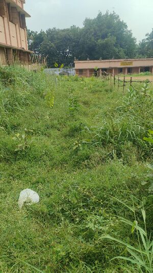 21048 GHS Kozhippara Garden.jpeg