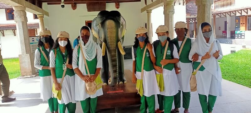 പ്രമാണം:23013 n.jpg