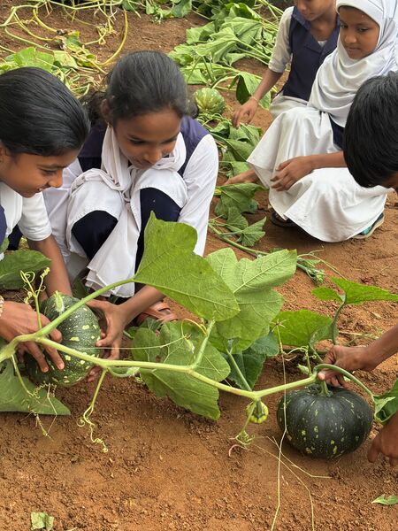 പ്രമാണം:34044-GHSM-NALLAPADAMKARSHIKA PRAVARTHANANGAL2025.jpg