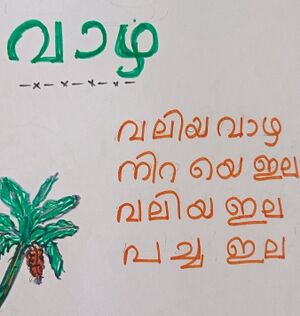 34237-ALP-Kunj-Noel Xavier1(1)(1).jpg