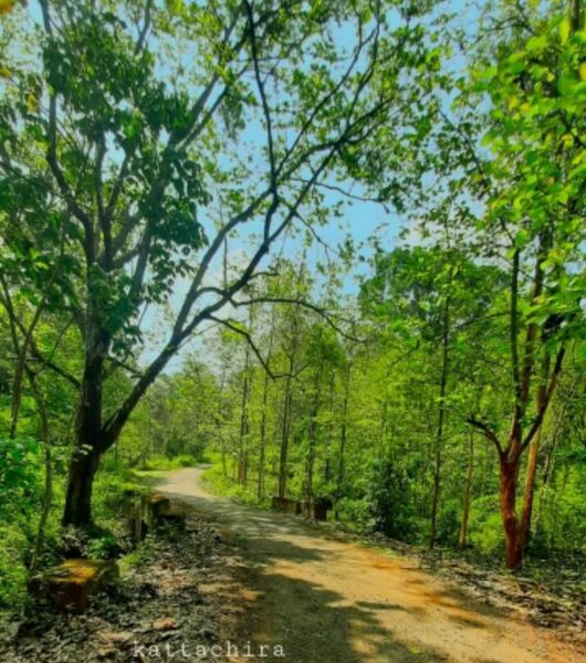 പ്രമാണം:38046 vil3.jpg