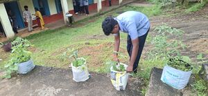 38077 Vegitable Garden 2025 1.jpg