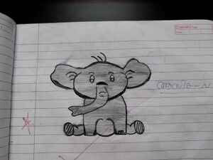 40208-KLM-KUNJ-ASIYA N.jpg