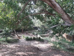 43002 Pachathathurath..jpg