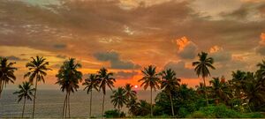 44223 harbour light house.jpg