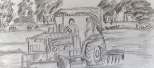 47017 SAVIO 7 C 34 .jpg