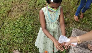 BS21 ALP 34030 6.jpg