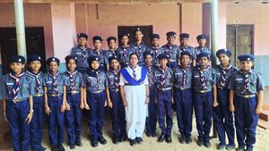 Guides 35055.jpg