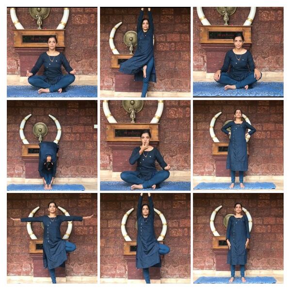 പ്രമാണം:KSD 12504 9.jpg