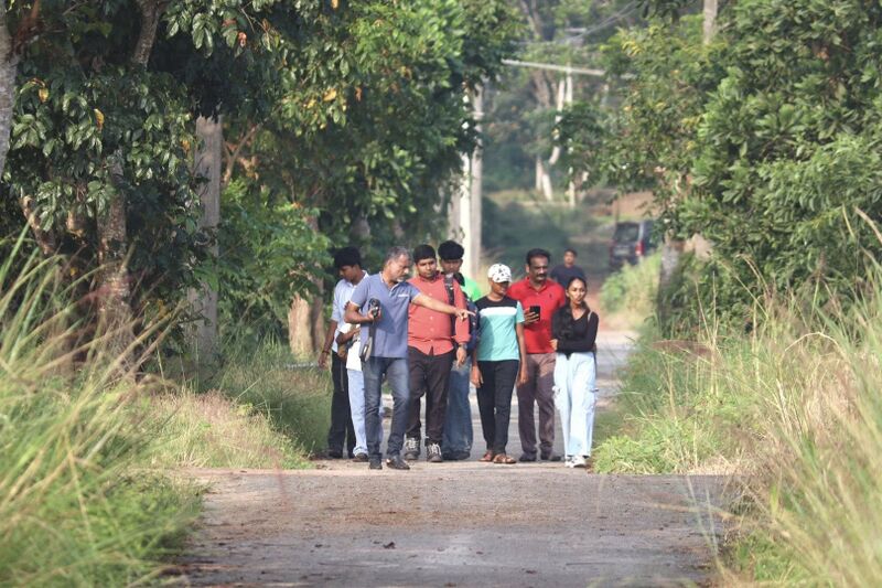 പ്രമാണം:Nest 3.jpg