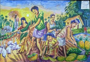 SSK2025-26 902 HSS General A 12 43047.jpg