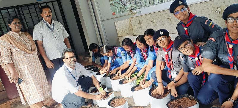 പ്രമാണം:15051 grow bag 3.jpg