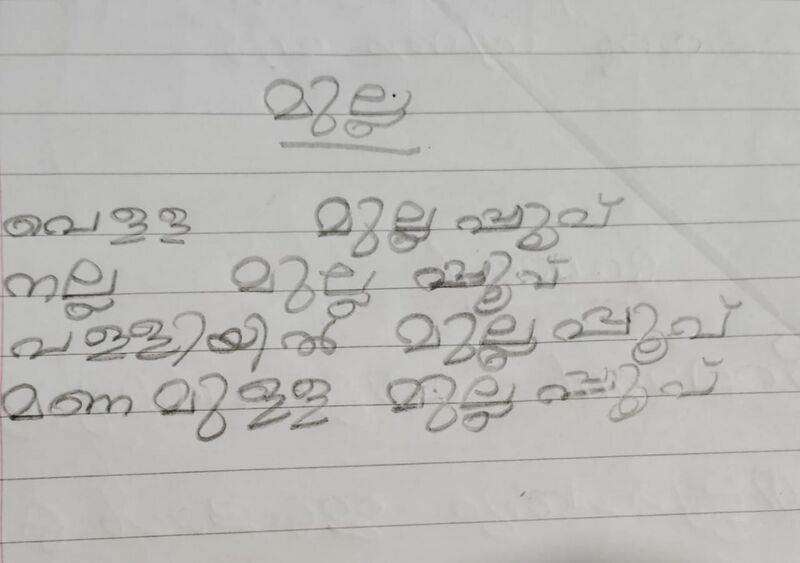 പ്രമാണം:15251-WYD-KUNJ-RAMIN ZAYAN N T.jpg