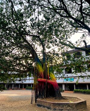 18673 thanal marangal.jpg