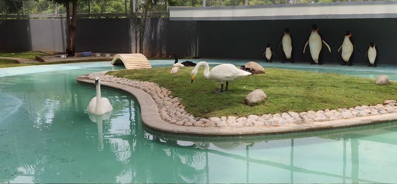 പ്രമാണം:19051 tar21.jpg