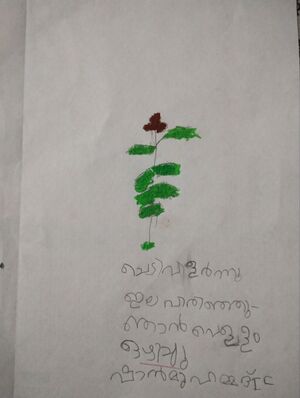 19766-MLP-KUNJ-SHAN MUHAMMED E.jpg