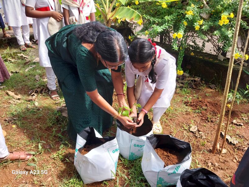 പ്രമാണം:22076 JRC Harithankanam.jpg