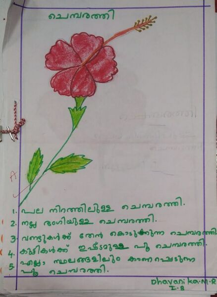 പ്രമാണം:23242-TSR-KUMJ-DHAVANIKA M R.jpg