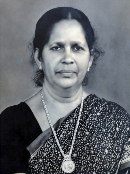 പ്രമാണം:26058 hm babytr.png