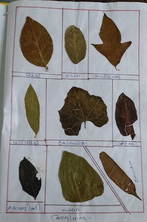 28317-EKM-KUNJ-ARYANANDHA E R.jpeg