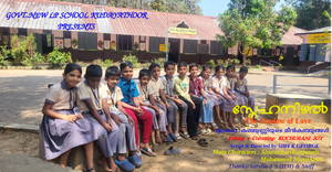 29228 sna.png