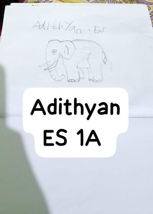 31040-KTM-KUNJ-ADITHYAN.jpeg